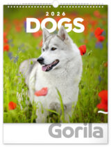 NOTIQUE Nástenný kalendár Dogs 2026