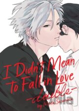I Didn't Mean to Fall in Love -double-: 2