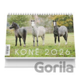 Koně 2026 - stolní kalendář