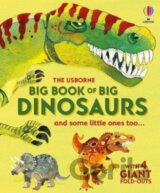 Big Book of Big Dinosaurs