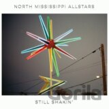 North Mississippi Allstars: Still Shakin´