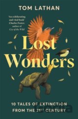 Lost Wonders