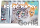 NOTIQUE Stolní kalendář / stolový kalendár Kočky - Mačky 2026