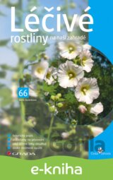 Léčivé rostliny na naší zahradě