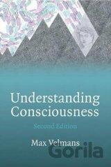 Understanding Consciousness