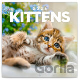 NOTIQUE Nástenný poznámkový kalendár Kittens (Mačiatka) 2026