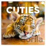 NOTIQUE Nástenný poznámkový kalendár Animal cuties (Mláďatá) 2026