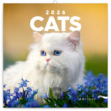 NOTIQUE Nástenný poznámkový kalendár Cats (Mačky) 2026