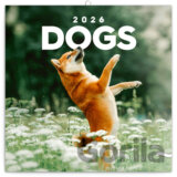 NOTIQUE Nástenný poznámkový kalendár Dogs (Psy) 2026