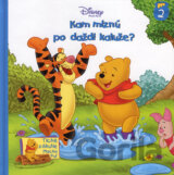 Kam miznú po daždi kaluže?