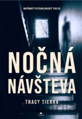 Nočná návšteva