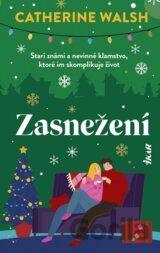 Zasnežení