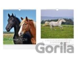 Nástěnný kalendář Horses 2026