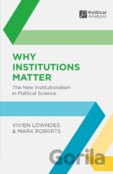 Why Institutions Matter