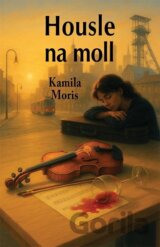 Housle na moll