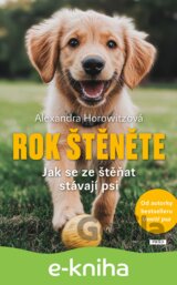 Rok štěněte