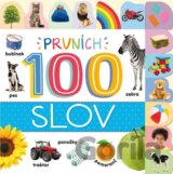 Prvních 100 slov
