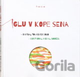 Iglu v kope sena