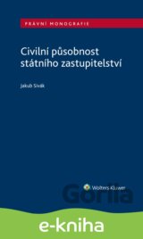 Civilní působnost státního zastupitelství