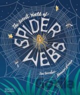 The Secret World of Spider Webs