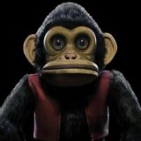 Edo Van Breemen: The Monkey (Colored) LP