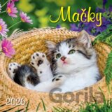 Nástenný kalendár Mačky 2026