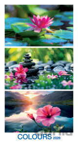 Nástenný kalendár Colours 2026