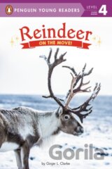 Reindeer