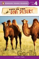 Life in the Gobi Desert
