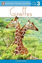 Giraffes