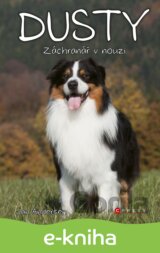 Dusty: Záchranář v nouzi