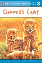 Cheetah Cubs