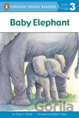 Baby Elephant