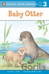 Baby Otter