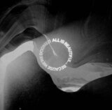 We Came As Romans:  All is Beautiful...Because We Are Doomed
