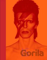 David Bowie is