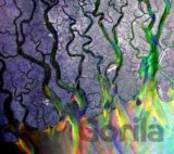 Alt-J: An Awesome Wave