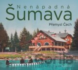 Nenápadná Šumava