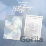 Viviz:  A Montage Of ( ) / Random Photobook edition