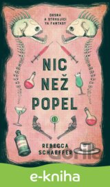 Nic než popel