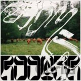 Roomer:  Skice LP