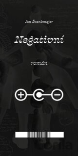 Negativní román