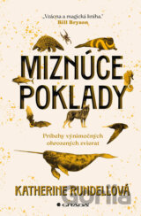 Miznúce poklady
