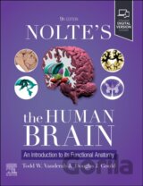 Nolte's The Human Brain