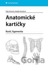 Anatomické kartičky