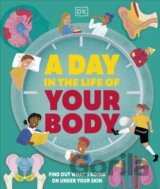 A Day in the Life of Your Body