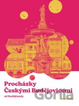 Procházky Českými Budějovicemi