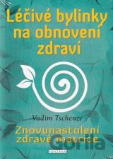 Léčivé bylinky na obnovení zdraví