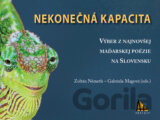 Nekonečná kapacita