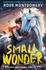 Small Wonder
